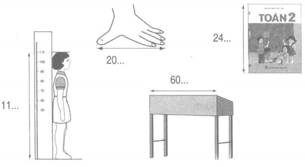 Bài 6. Luyện tập