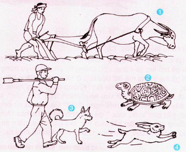 Luyện từ và câu - Tuần 17 trang 73 Vở bài tập (VBT) Tiếng Việt lớp 2 tập 1